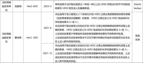 盤點國內(nèi)已上市ADC與雙抗藥物全景圖及國內(nèi)貿(mào)易代理格局